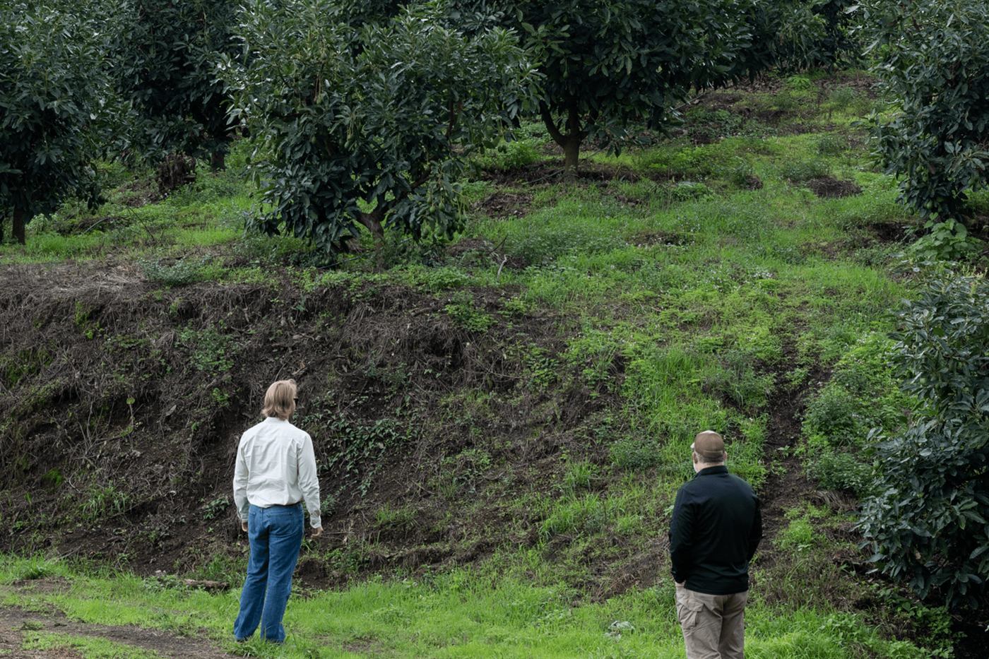 Two Gordian team members walking through an avocado farm in the highlands